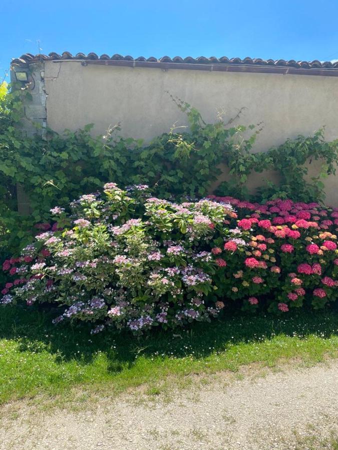 No5 Chambre D'Hotes Courcome エクステリア 写真